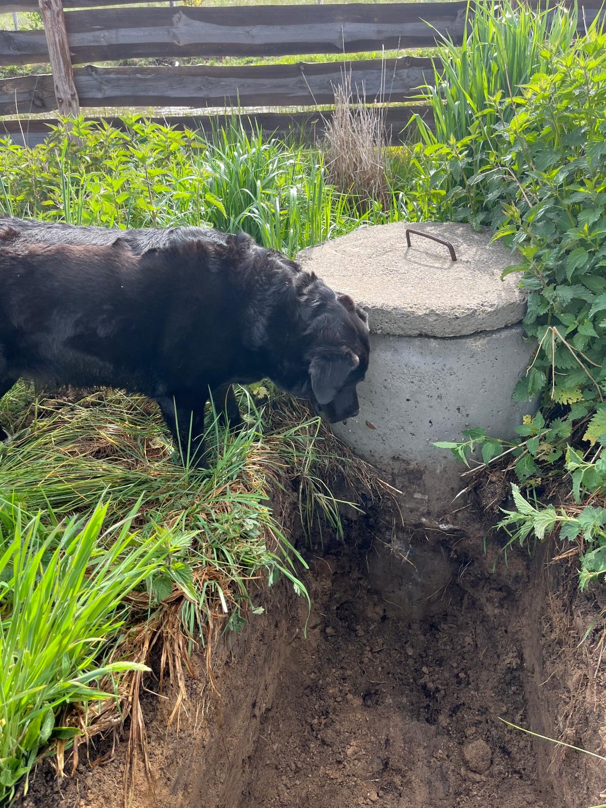 Galeria Fundamenty Kaszuby